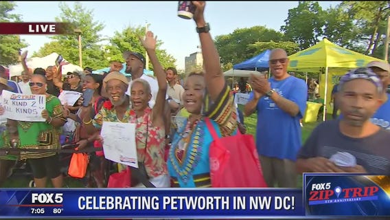 Petworth | Zip Trip: Fun in the District!