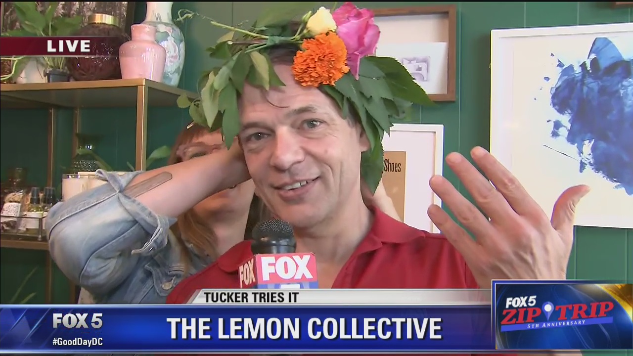 Petworth | Zip Trip: The Lemon Collective