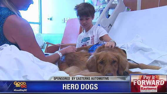 PAY IT FORWARD: Hero Dogs trains service animals for veterans, hospitals
