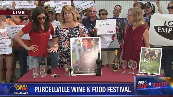 Purcellville | Zip Trip: Purcellville Wine and Food Festival