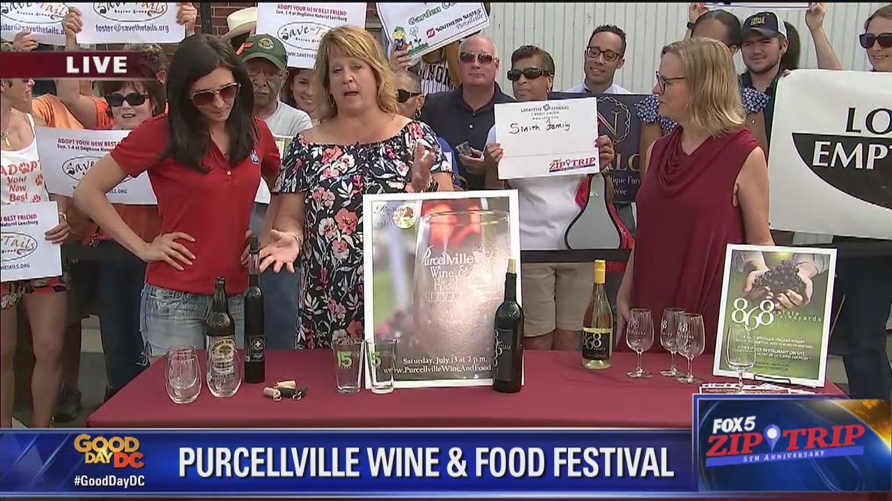 Purcellville | Zip Trip: Purcellville Wine and Food Festival