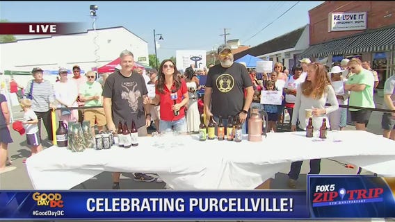 Purcellville | Zip Trip: Battle of the Brews
