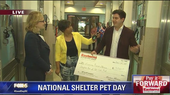 Pay It Forward: National Shelter Pet Day