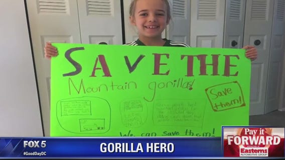 Pay It Forward: 10-year-old Maryland girl?s pie-face challenge helps save gorillas