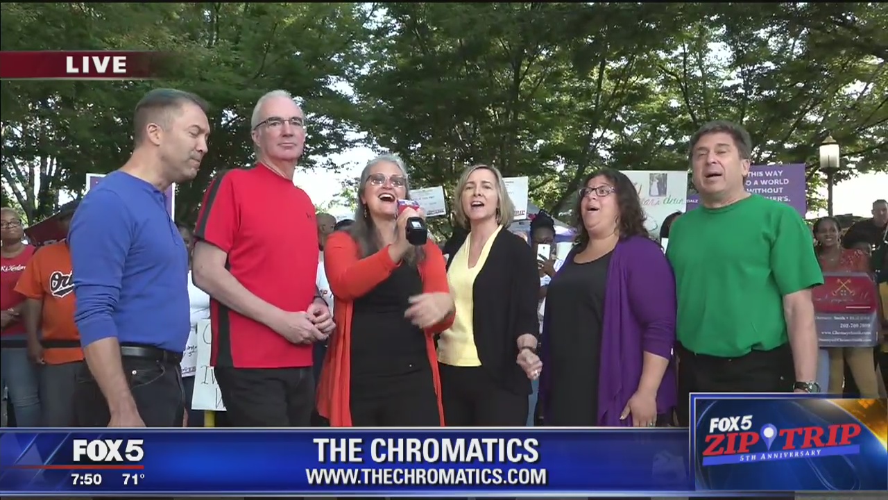 Greenbelt | Zip Trip: The Chromatics