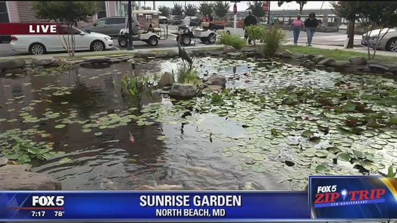 North Beach | Zip Trip: Sunrise Garden