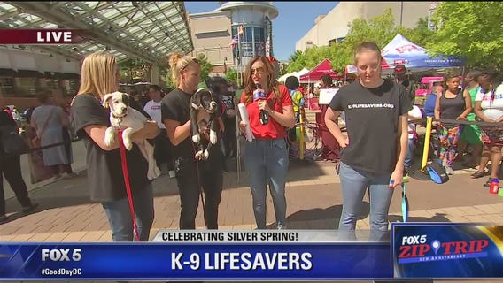 Silver Spring | Zip Trip: K9 Lifesavers
