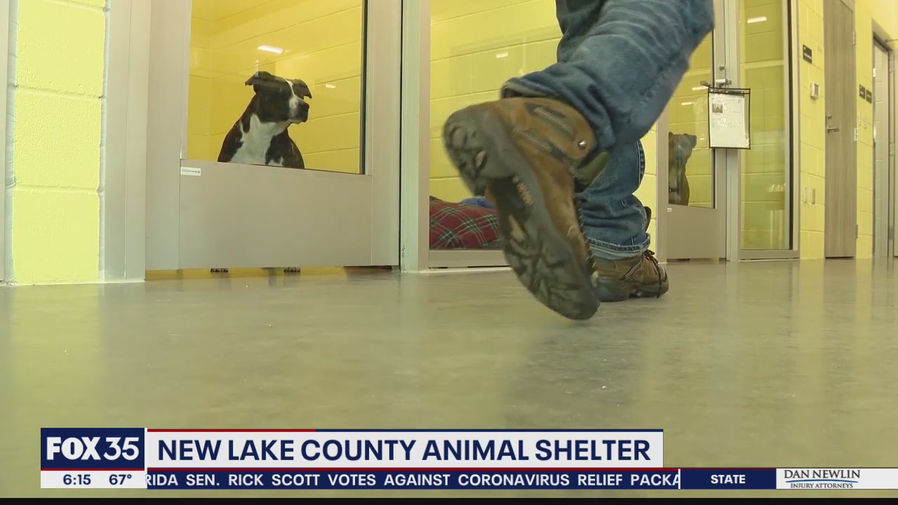 New Lake County Animal Shelter opens