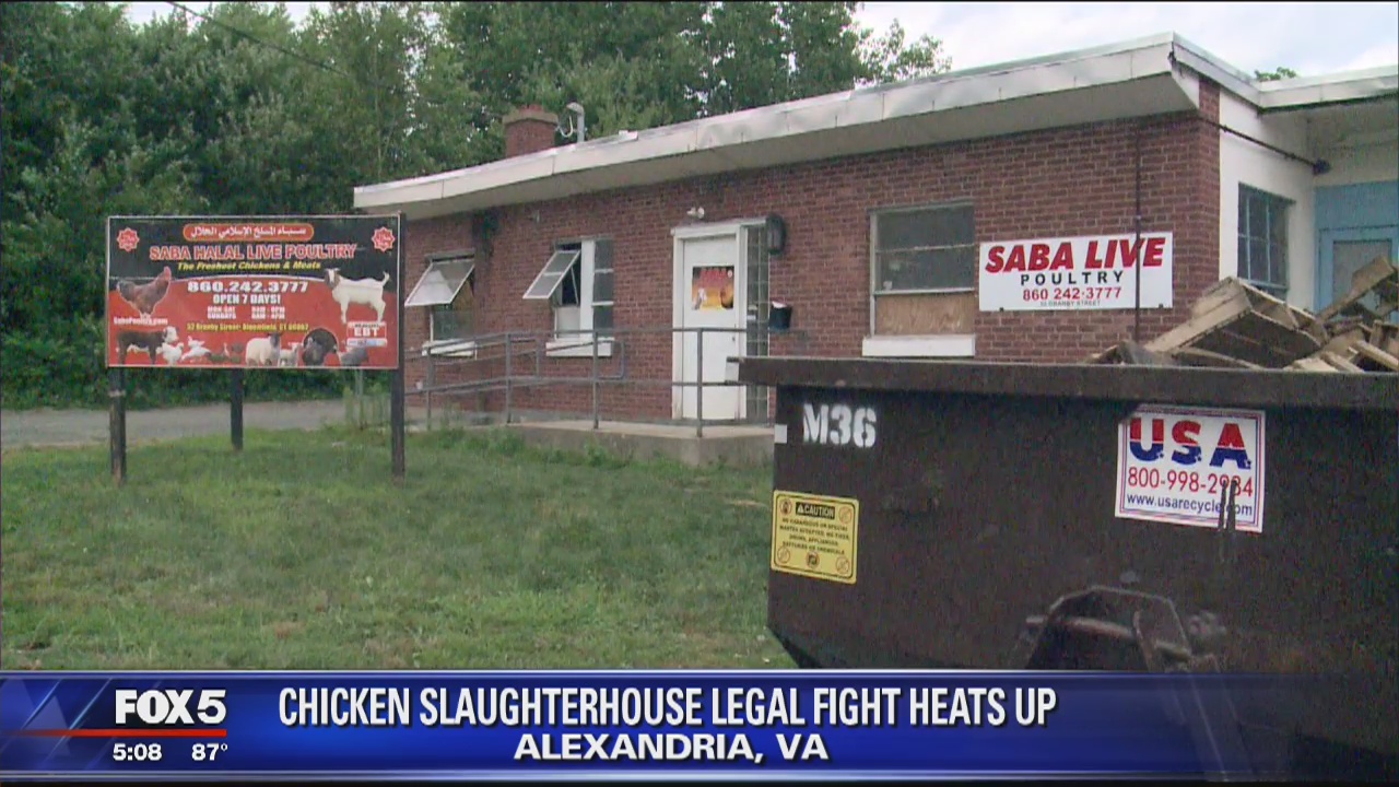 Public outrcy over chicken slaughterhouse in Alexandria