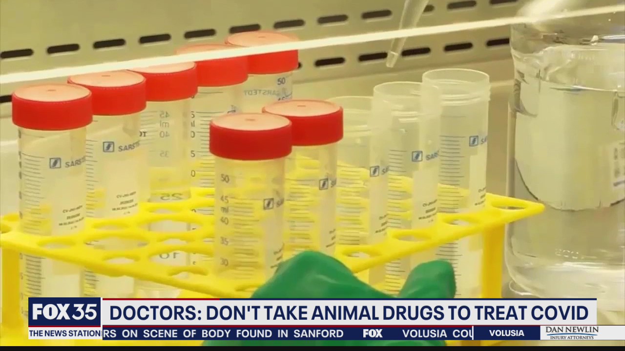 Pet parasite drug ivermectin touted as COVID-19 treatment