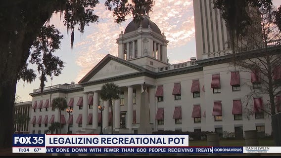 Legalizing recreational pot in Florida