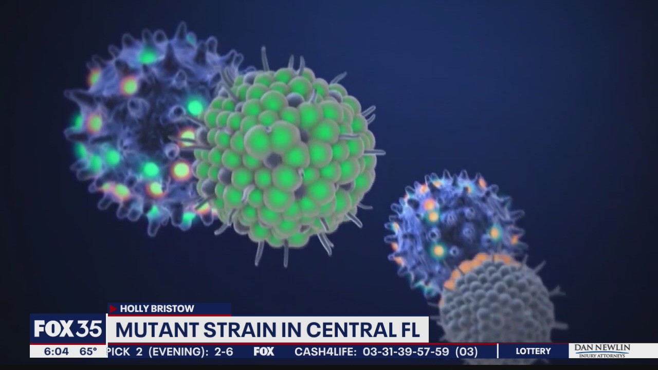 COVID-19 UK variant likely more prevalent in Florida than numbers show