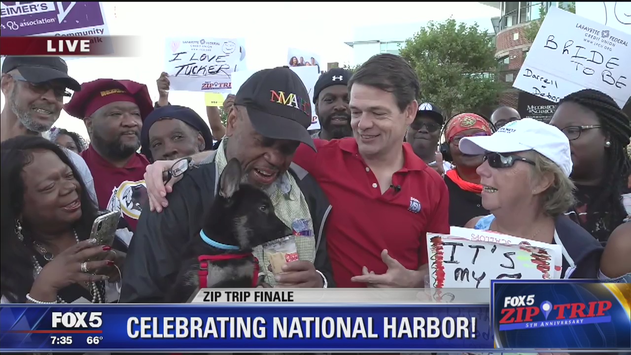 National Harbor | Zip Trip: Puppy Fun!