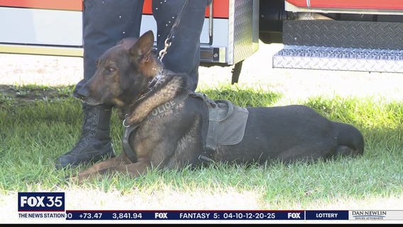 AG, law enforcement pushing legislation that protects Florida police K-9s