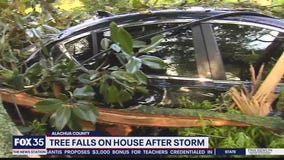 Tree falls on house after storm in Alachua County