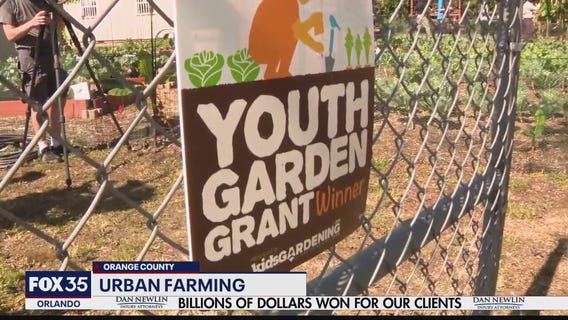 Urban farm serves critical need in Parramore