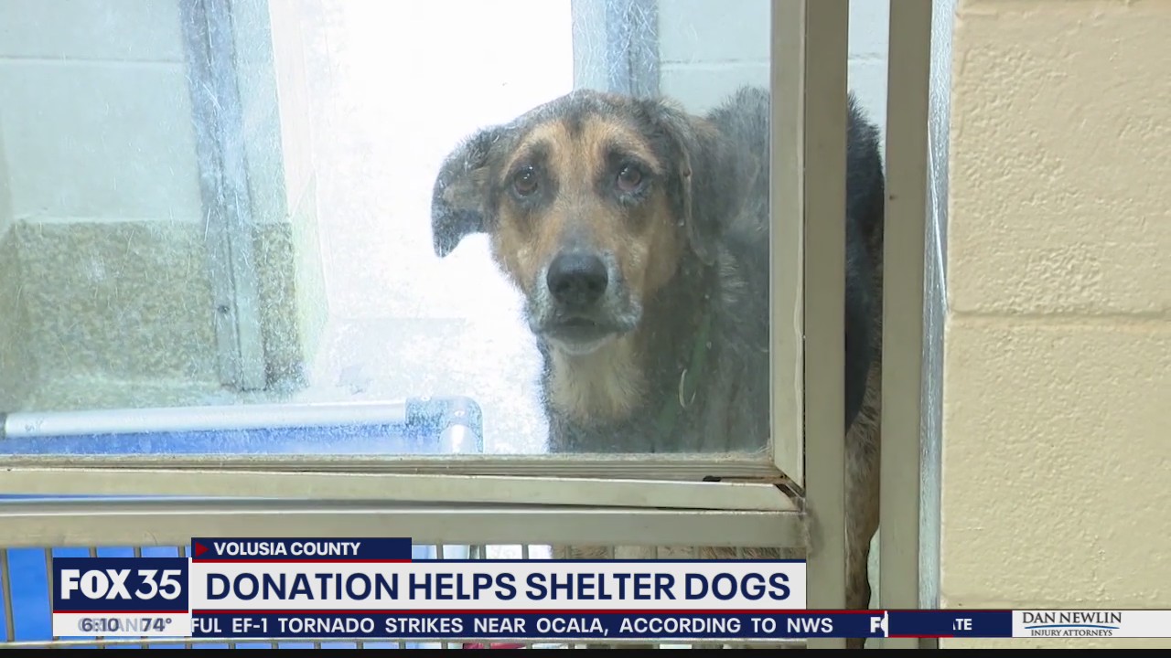 Donation helps dogs at Volusia County shelter