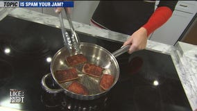 Spam records 5th straight year of record sales