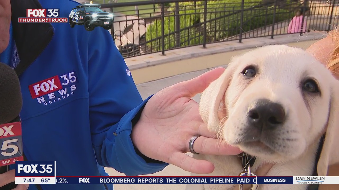 Adorable puppy comes out to see the FOX 35 Storm Team Thunder Truck