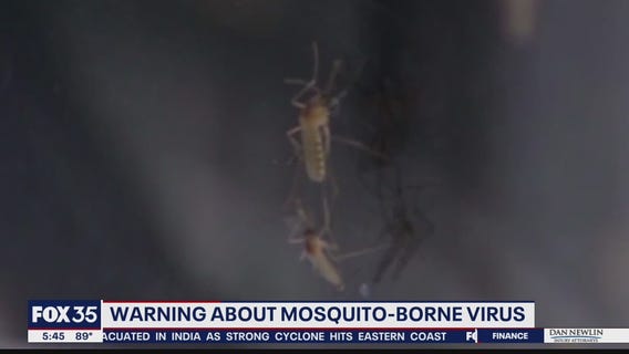Warning about mosquito-borne virus