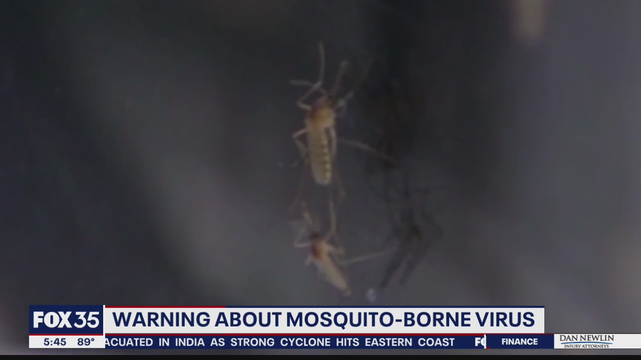 Warning about mosquito-borne virus
