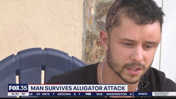 Man, diving for prehistoric shark teeth, bitten by alligator