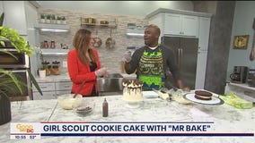 Delicious Girl Scout Cookie cake from Mr. Bake!