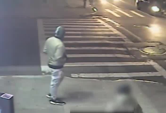 Purse ripped from woman walking with cane