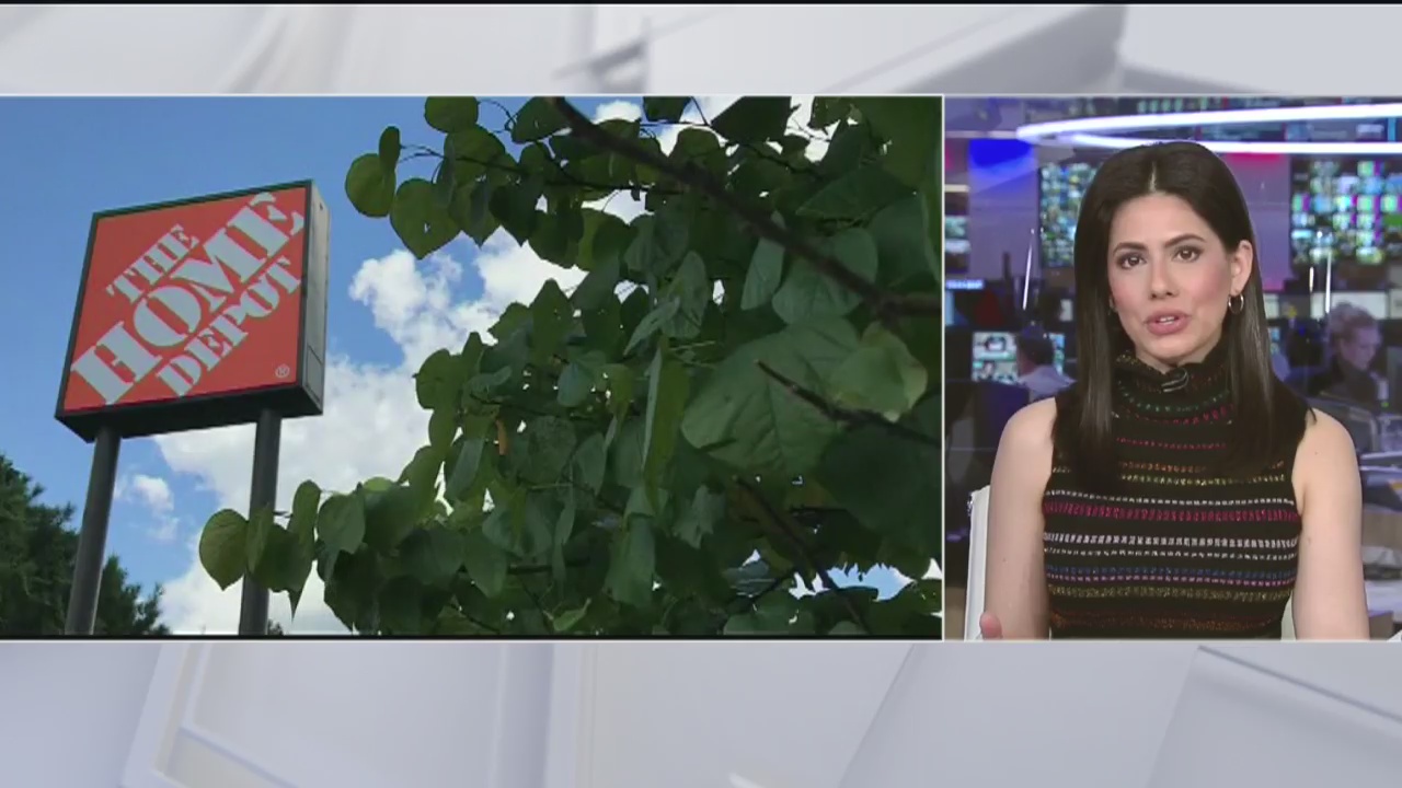 FOX Business Beat: Samsung Unveils New Phones; Home Depot Hiring