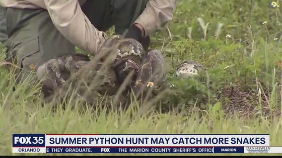 2021 Florida Python Challenge kicks off next month