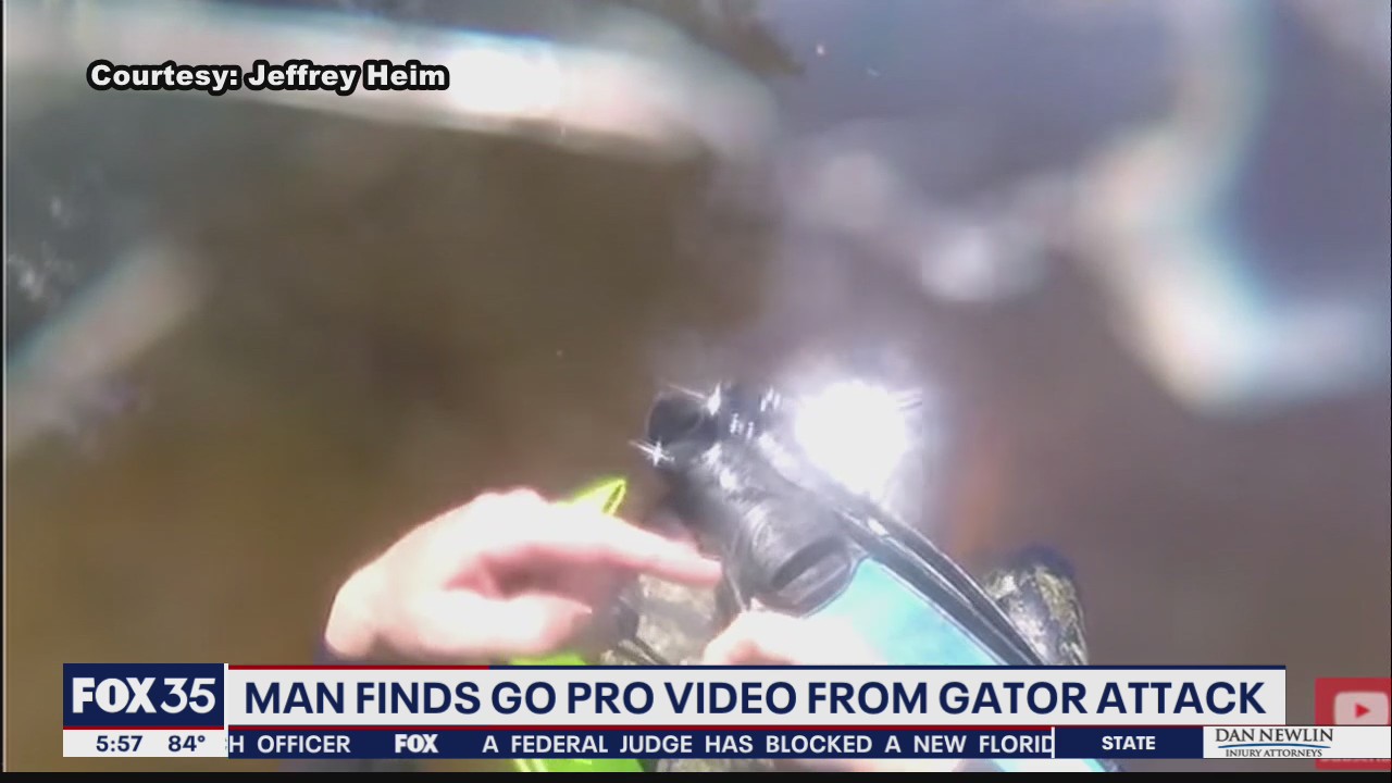 Injured diver 'freaked out' watching recovered GoPro footage of alligator attack