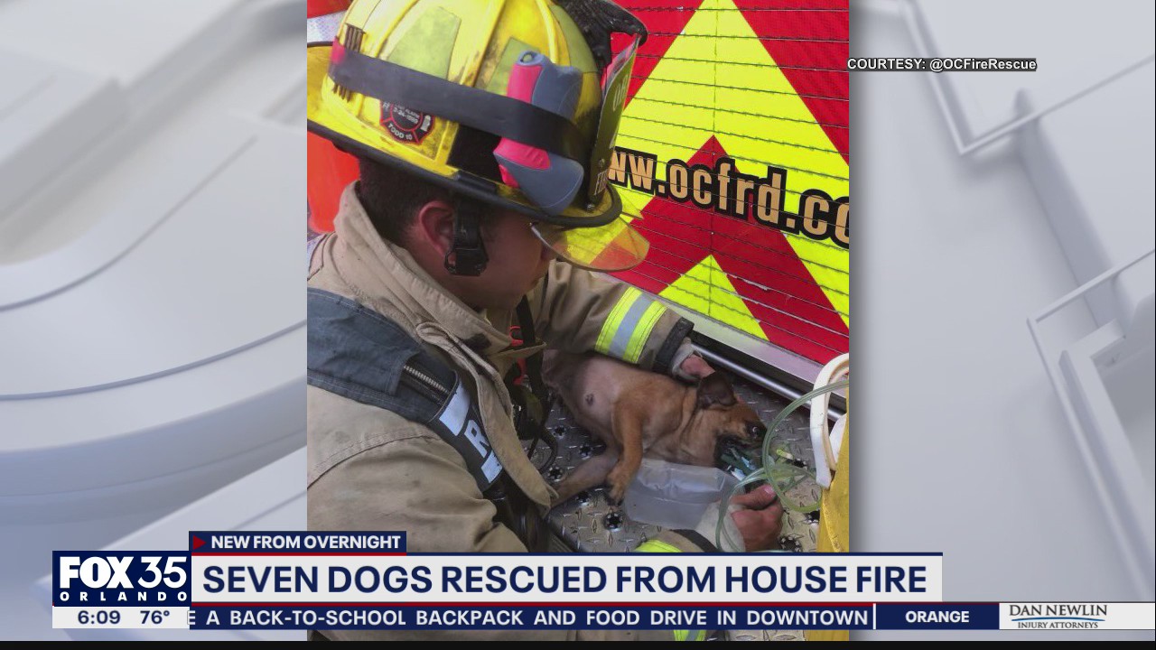 Firefighters rescue seven dogs from Orange County house fire | FOX 51 ...
