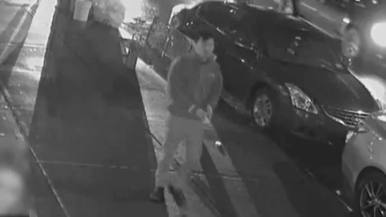 Cat found in sealed bucket