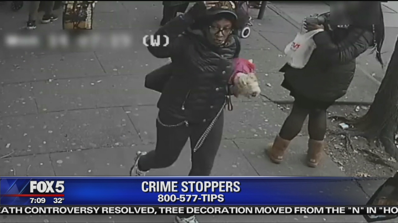 Woman, Good Samaritan slashed