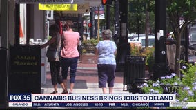 Major cannabis producer choses DeLand for Florida headquarters