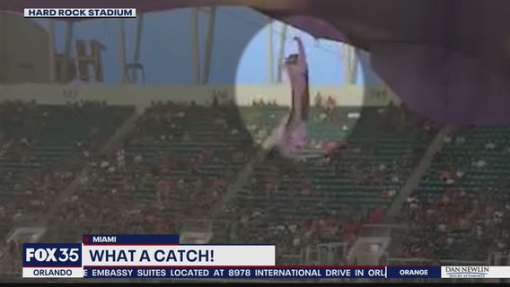 Cat survives death-defying fall at Hard Rock Stadium