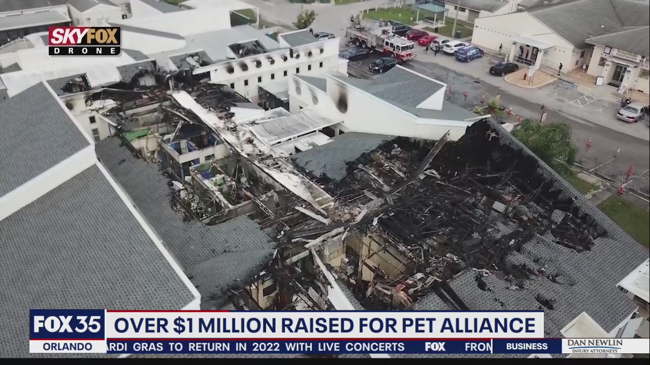 Over $1 million raised for Pet Alliance of Greater Orlando
