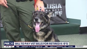 Bill would cover veterinary bills of retired police K-9s
