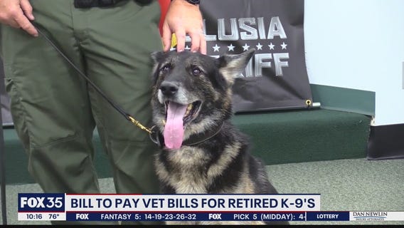 Bill would cover veterinary bills of retired police K-9s