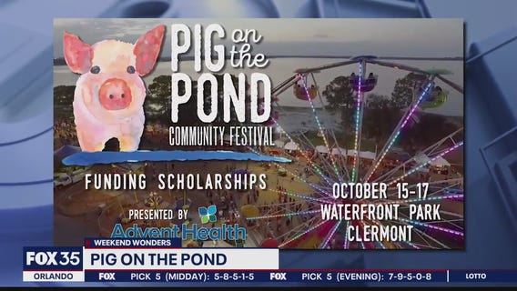 Weekend Wonders: Pig on the Pond