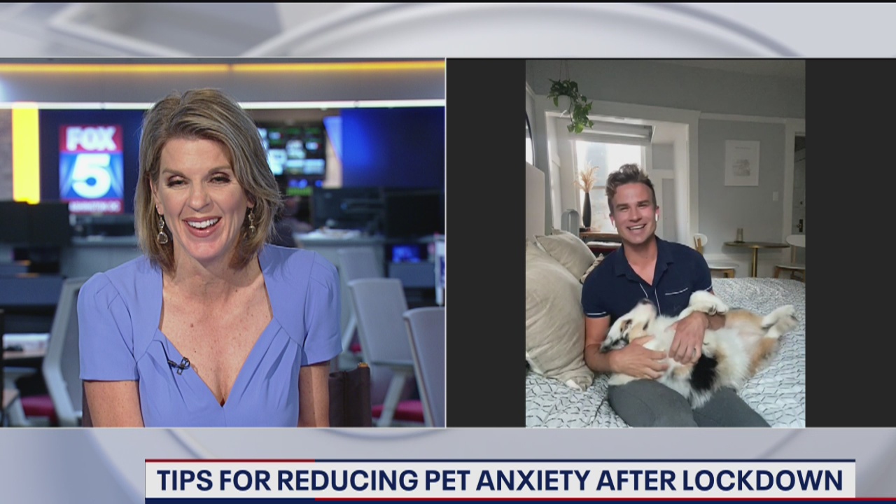 Tip for reducing pet anxiety after lockdown