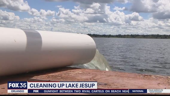 Cleaning up Lake Jesup