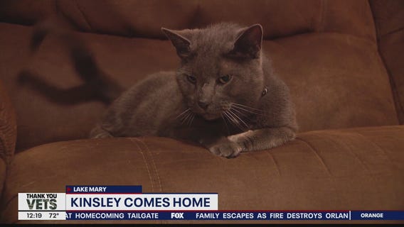 Kinsley the cat reunited with family after missing 6 years