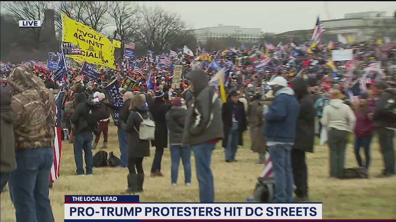 Multiple arrests at pro-Trump protests ahead of election certification