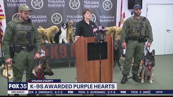 Florida K-9s Ax and Endo honored with Purple Hearts