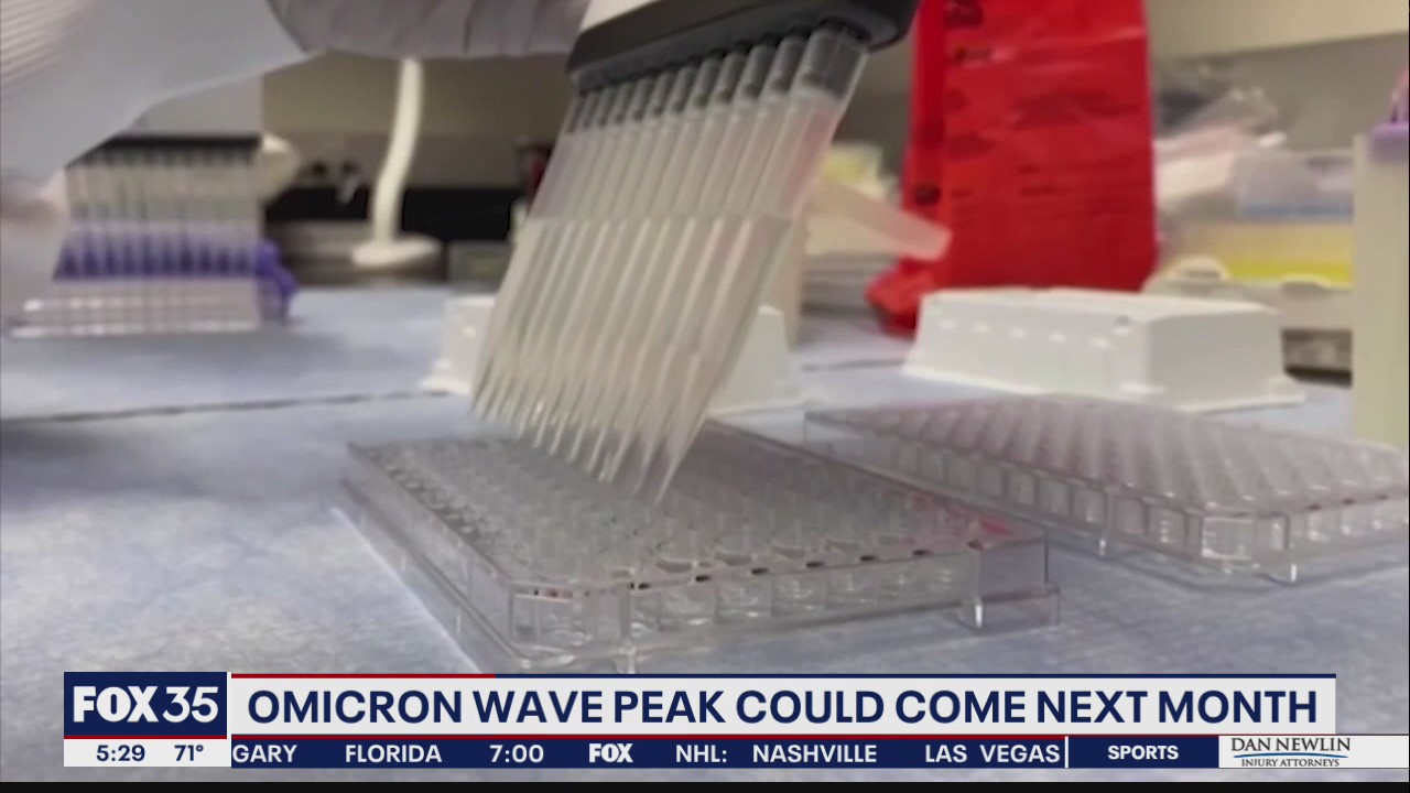 Omicron wave peak could come soon: UF researcher