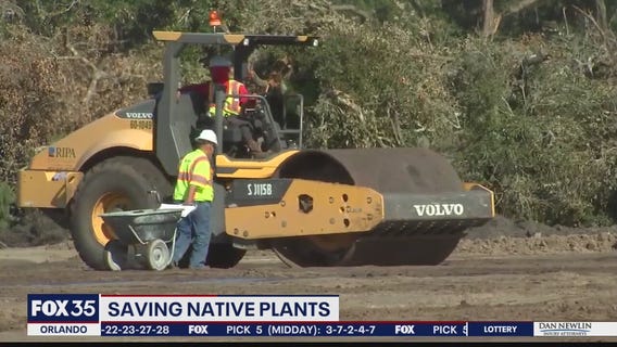 Saving Florida's native plants amid development boom