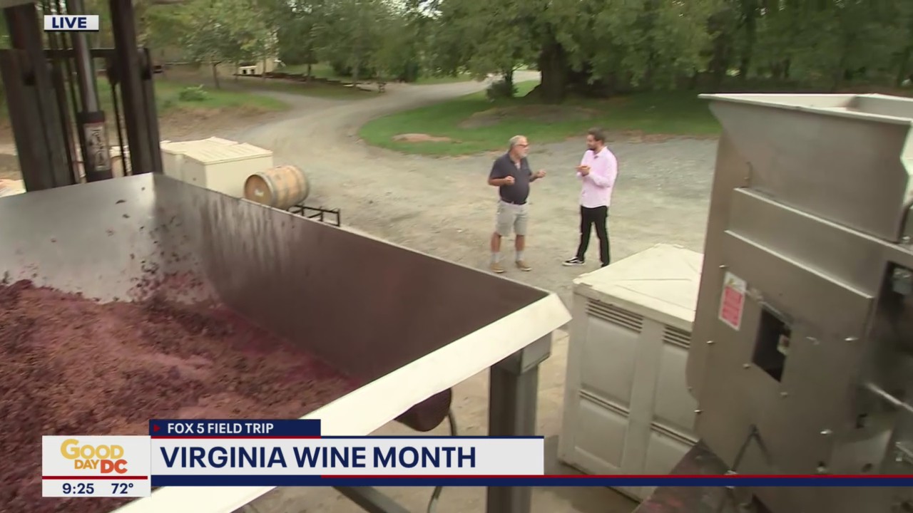 FOX 5 FIELD TRIP: Virginia Wine Month at Fabbioli Cellars