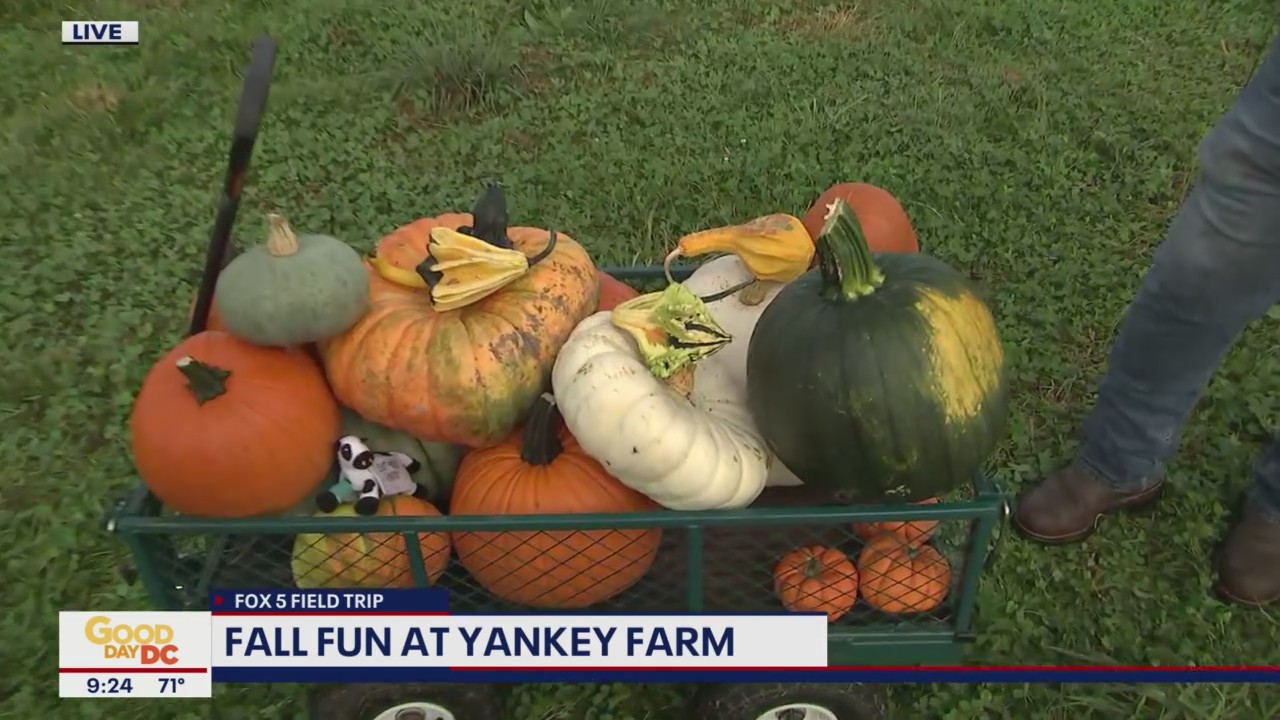 FOX 5 FIELD TRIP: Fall fun at Yankey Farms