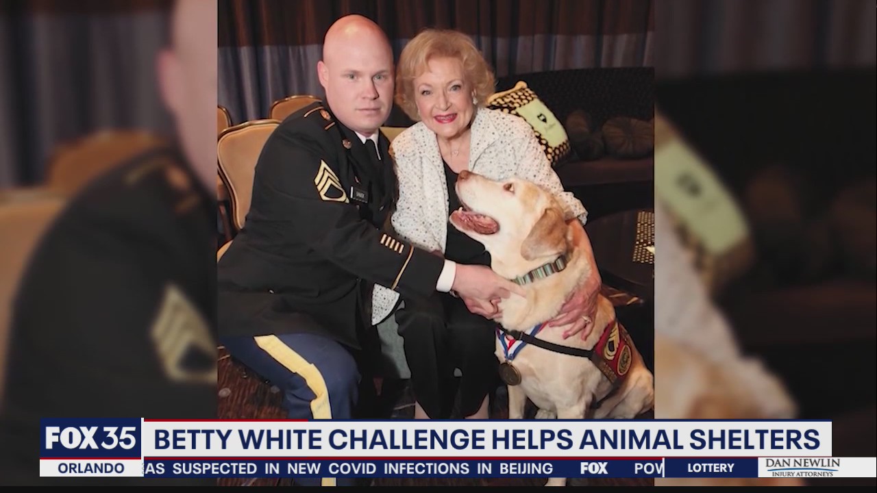 Betty White Challenge: Pet Alliance of Greater Orlando receives $50K in donations